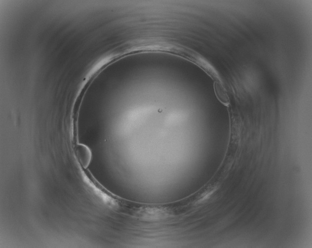 X0000081301095200701111418