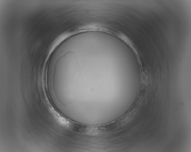 X0000081301098200701111418