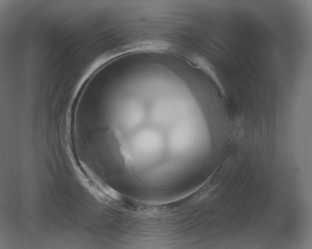 X0000081301099200701111418