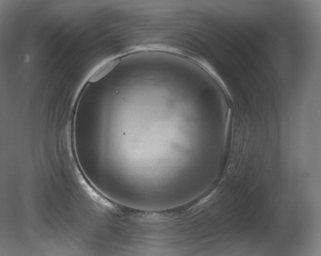 X0000081301100200701111418
