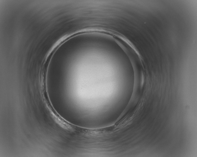 X0000081301101200701111418