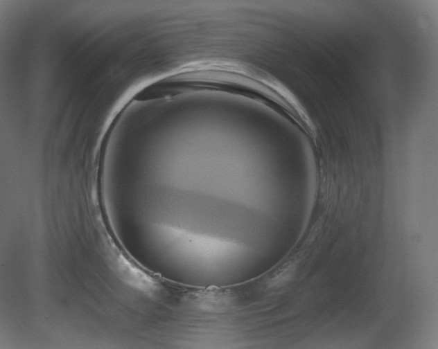 X0000081301102200701111418