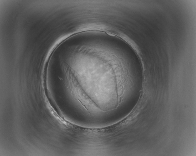 X0000081301104200701111418