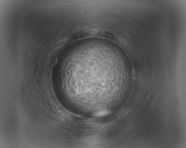 X0000081301105200701111417