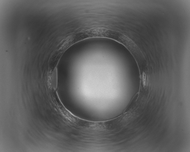 X0000081301107200701111417