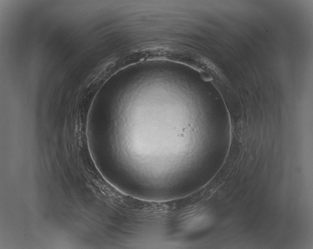 X0000081301111200701111417