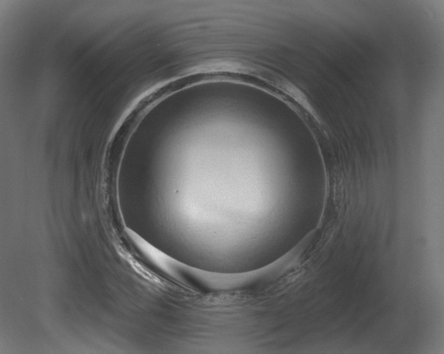 X0000081301116200701111417