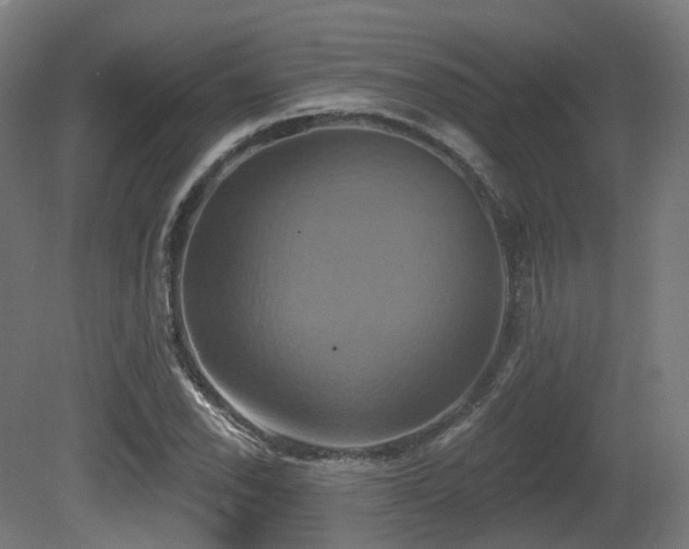 X0000081301118200701111417