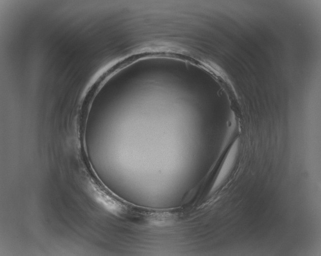 X0000081301120200701111417