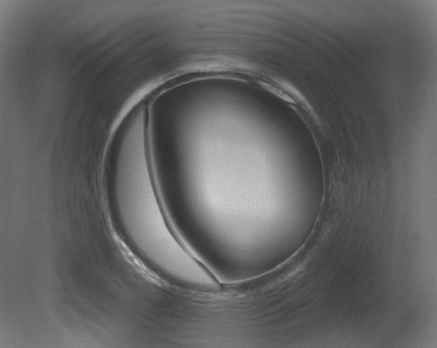 X0000081301122200701111417