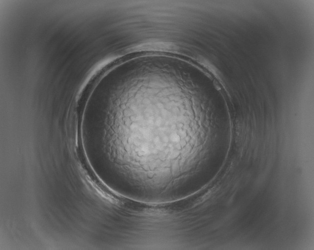 X0000081301123200701111417