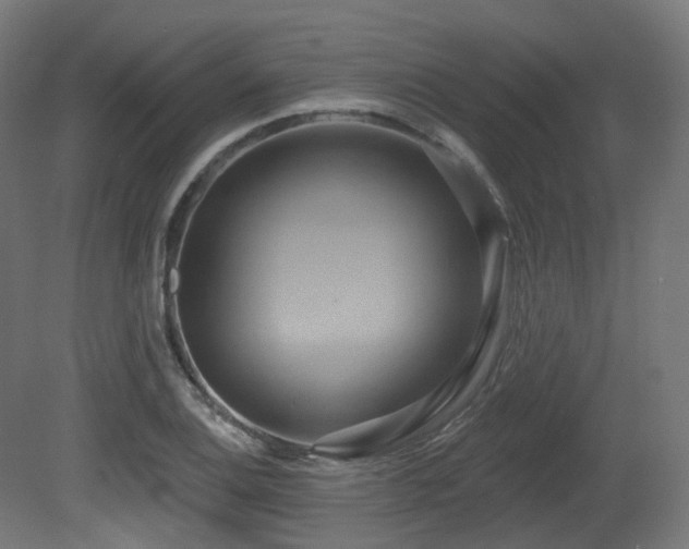 X0000081301124200701111417