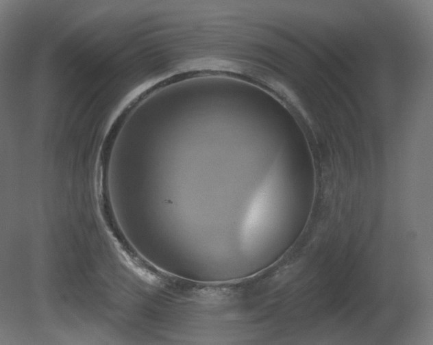 X0000081301125200701111417
