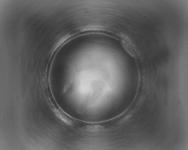 X0000081301129200701111418
