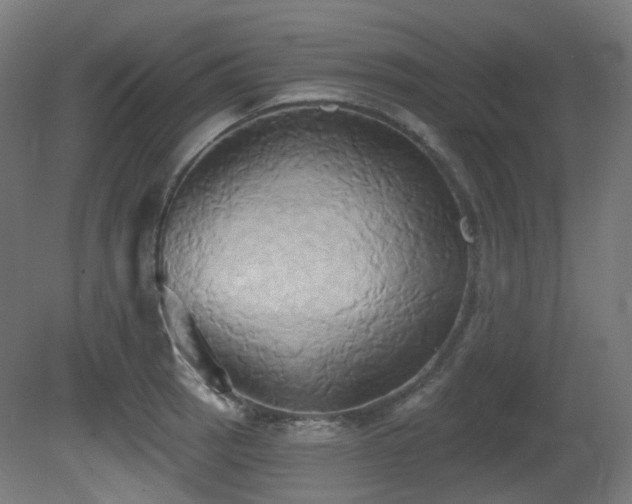 X0000081301137200701111418