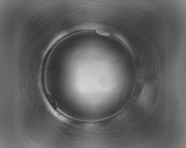 X0000081301139200701111418