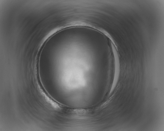 X0000081301142200701111418