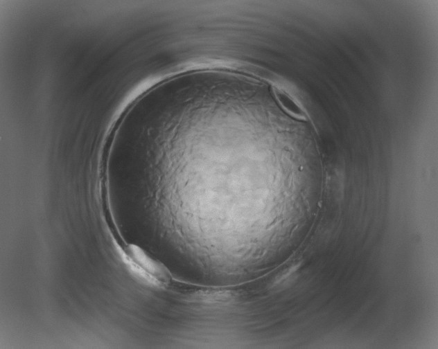 X0000081301143200701111418