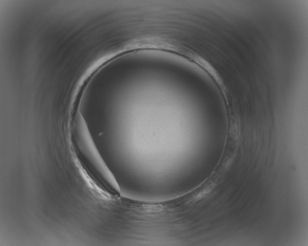 X0000081301144200701111418