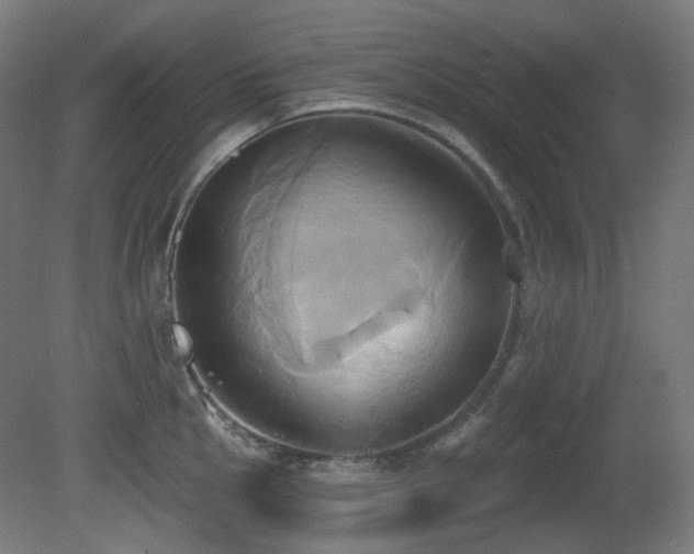 X0000081301145200701111418