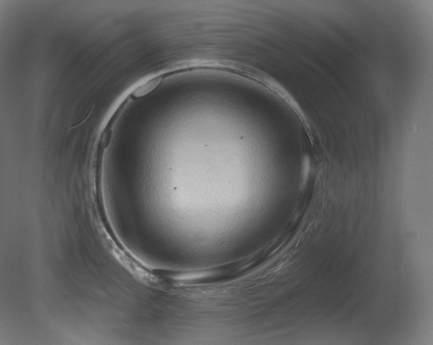 X0000081301148200701111418