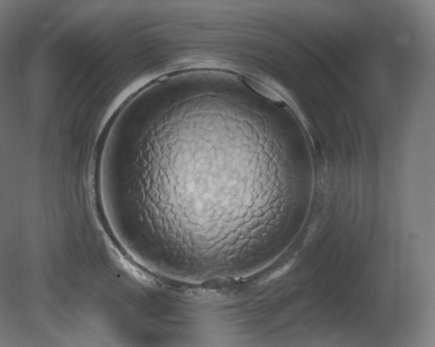 X0000081301149200701111418