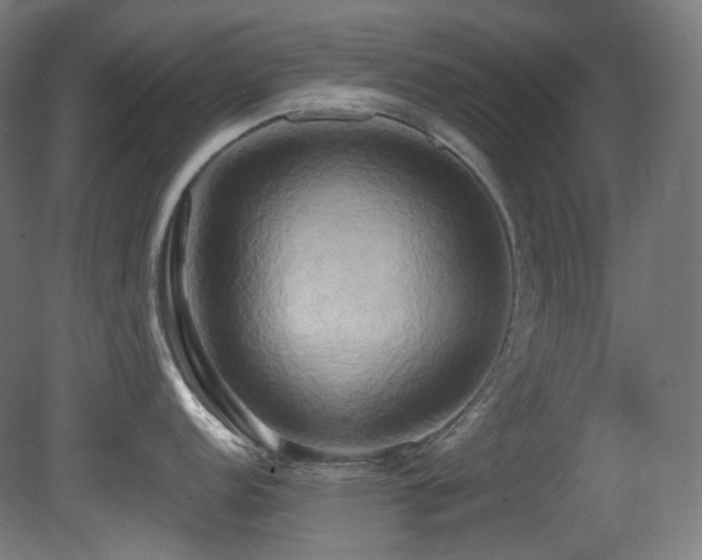 X0000081301152200701111418