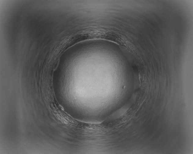 X0000081301153200701111417
