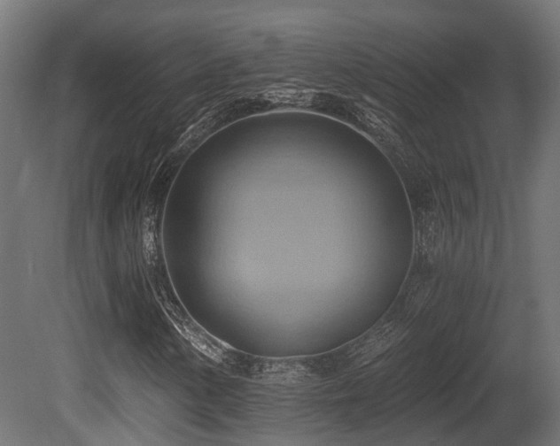 X0000081301154200701111417