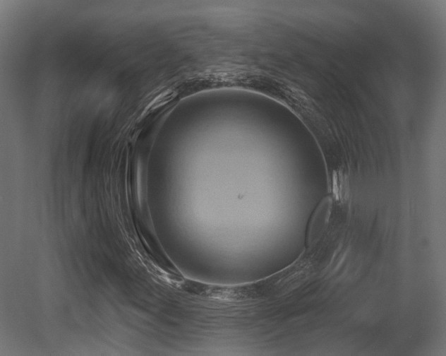 X0000081301155200701111417