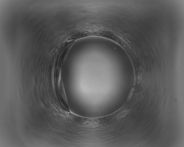 X0000081301156200701111417