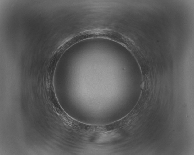 X0000081301158200701111417