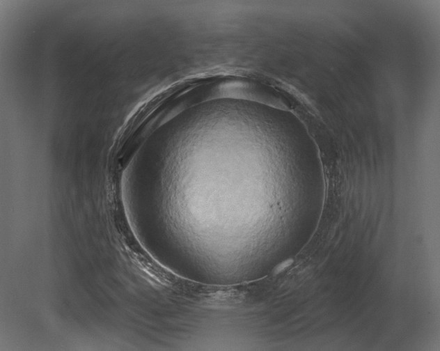 X0000081301160200701111417