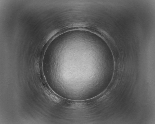 X0000081301162200701111417