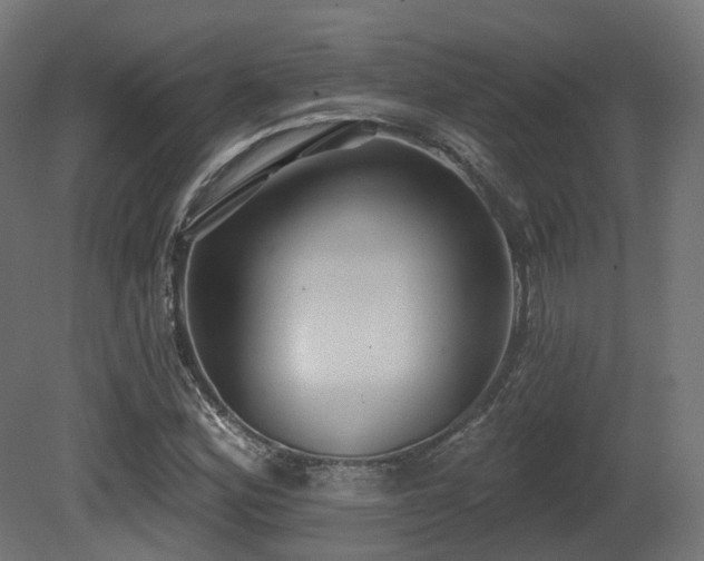 X0000081301164200701111417