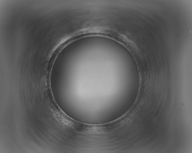 X0000081301166200701111417