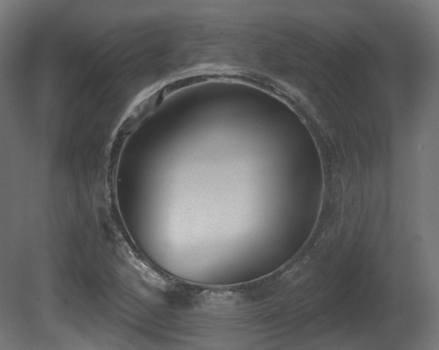 X0000081301168200701111417