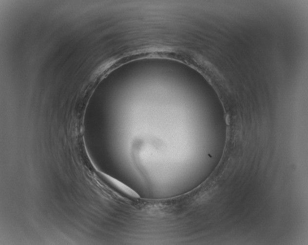 X0000081301169200701111417