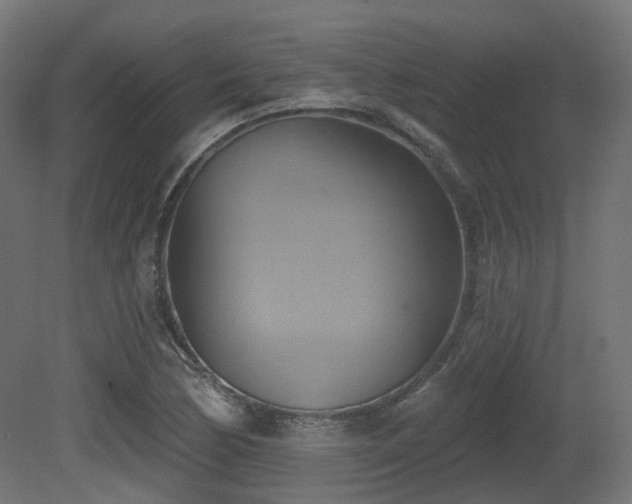 X0000081301170200701111417