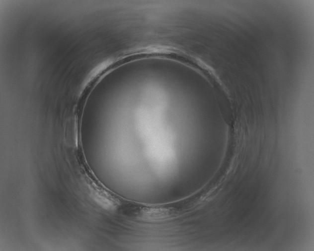 X0000081301171200701111417