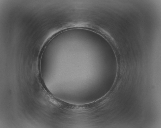 X0000081301174200701111417