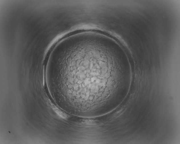 X0000081301175200701111417