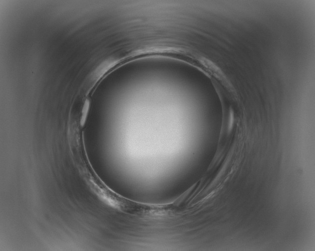 X0000081301177200701111417
