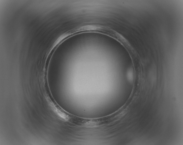 X0000081301178200701111417