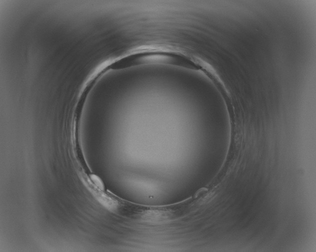 X0000081301179200701111417