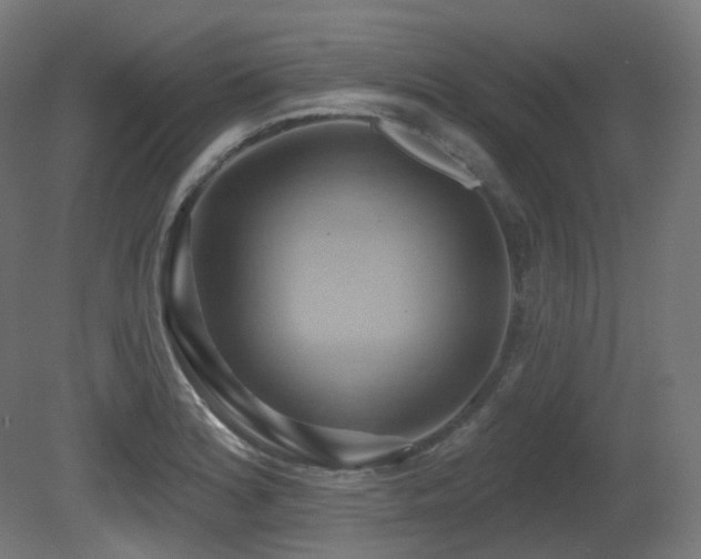 X0000081301180200701111417