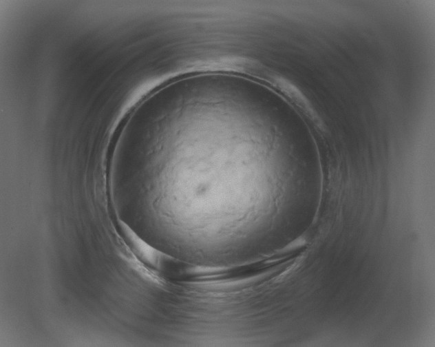 X0000081301184200701111417