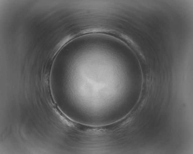 X0000081301185200701111417