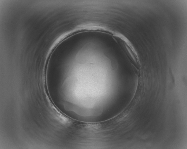 X0000081301191200701111416