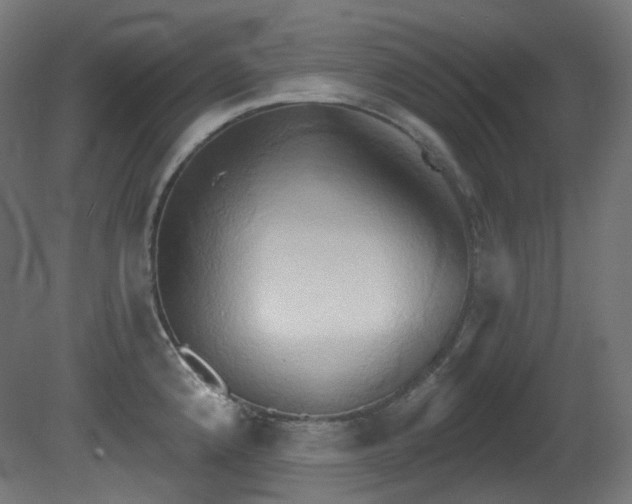 X0000081301192200701111416